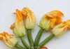 Food: fotografie dal mondo del cibo | Galleria fotografica
