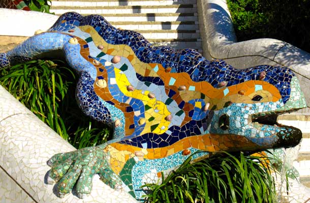 salamandra salamandra