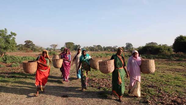 Panorama in Cantiere Panorama in Cantiere