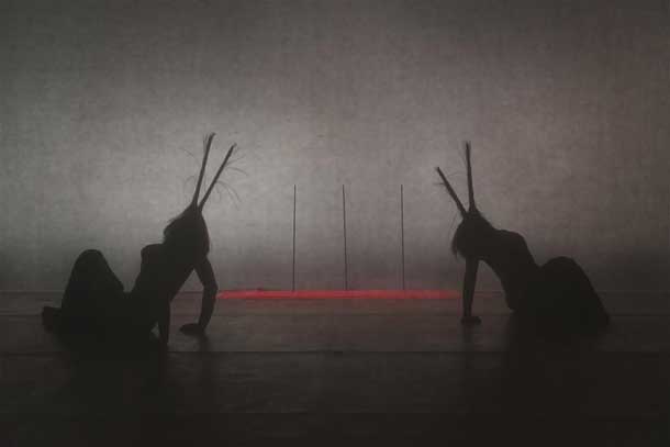 Mal bianco Mal bianco