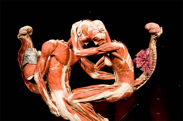 Body worlds Body worlds