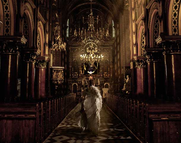 Onirica - Field of Dogs Onirica - Field of Dogs