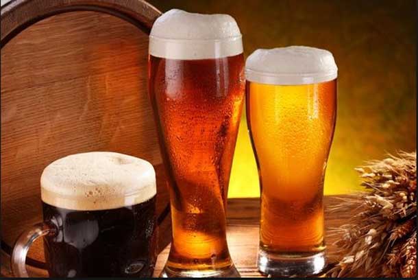 Tipicità: Made in Marche Festival Tipicità: Made in Marche Festival