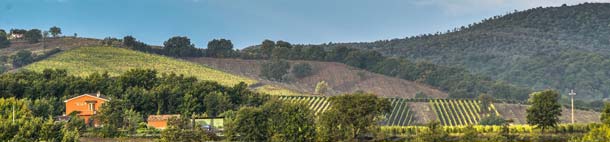 Podere 414 Podere 414