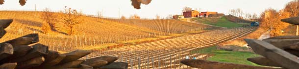 Podere 414 Podere 414