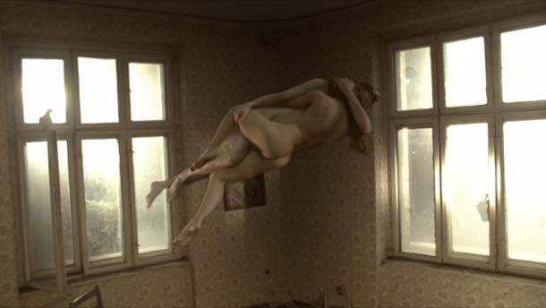 Onirica – Field of Dogs Onirica – Field of Dogs