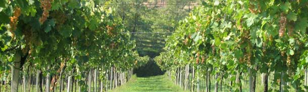 Strada del Recioto Strada del Recioto