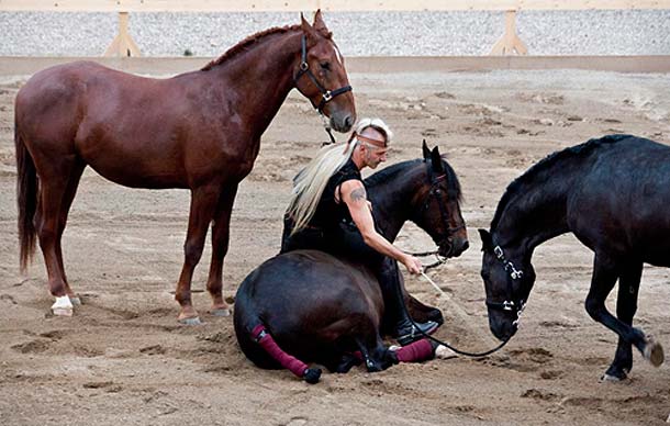 SAGA, il Canto dei Canti Opera Equestre SAGA, il Canto dei Canti Opera Equestre