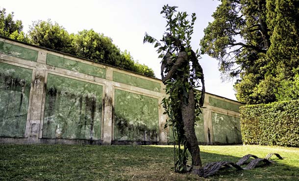 Sentiero e muro - ©Paolo Frullini