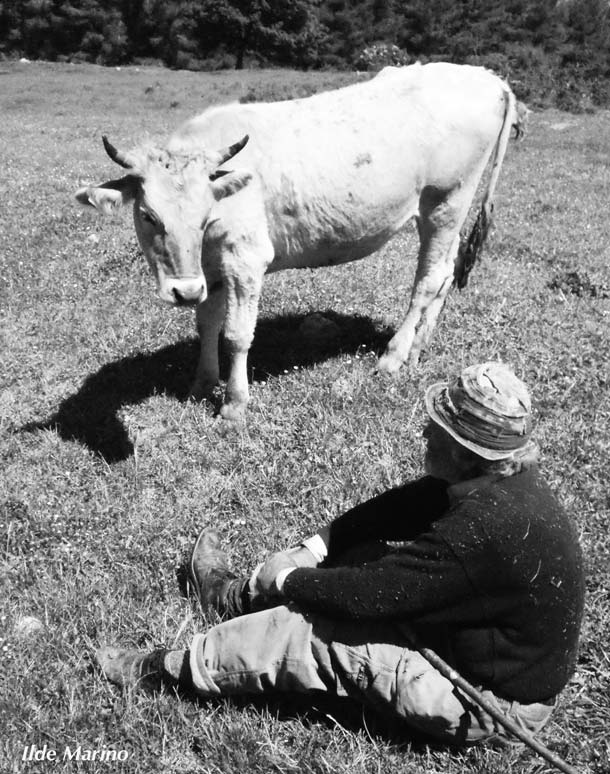 Brindisi di Montagna (PZ) © Ilde Marino