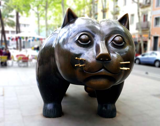 El Gato_ph Fermata Spettacolo