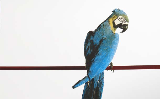 Michelangelo Pistoletto