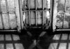 Prigionieri di Alcatraz