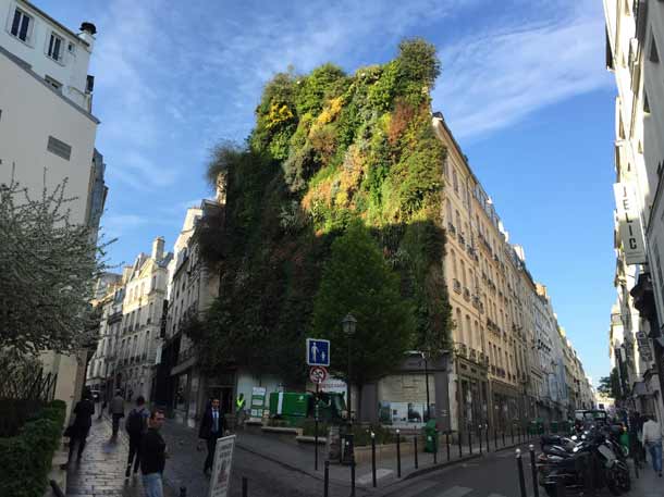 rue des Petits Carreaux rue des Petits Carreaux