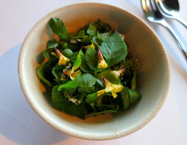 Cod and Herbs_ph Fermata Spettacolo Cod and Herbs_ph Fermata Spettacolo