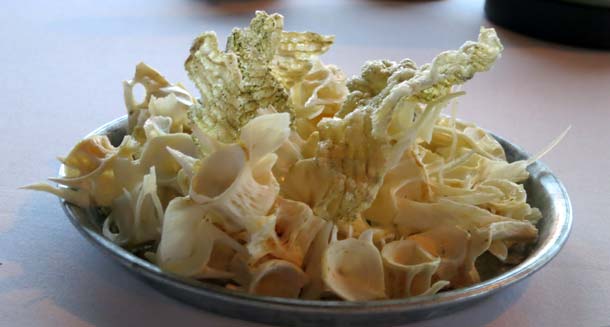 Cod_ph Fermata Spettacolo Cod_ph Fermata Spettacolo