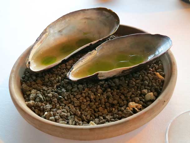 Horse Mussel_ph Fermata Spettacolo Horse Mussel_ph Fermata Spettacolo