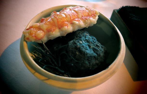 Langoustine_ph Fermata Spettacolo Langoustine_ph Fermata Spettacolo