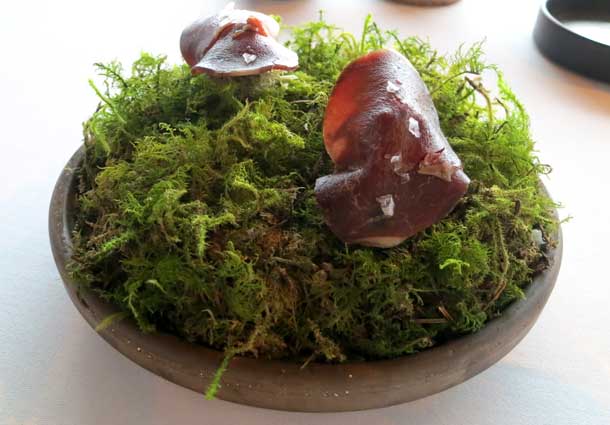 Skerpikjøt_ph Fermata Spettacolo Skerpikjøt_ph Fermata Spettacolo