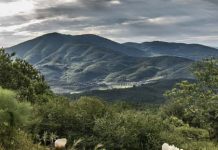 Monte Morello. Storie e bellezze della sua gente