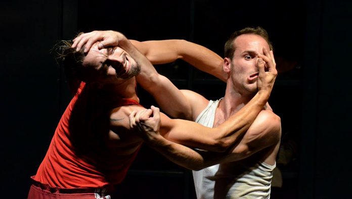 Poyo Rojo photo Alejandro Ferrer