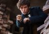 Da Hogwarts a New York per una lezione di magizoologia con gli Animali fantastici (e come trovarli)