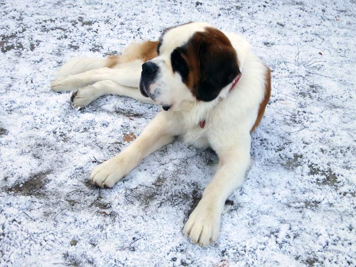 Barryland © Fermata Spettacolo