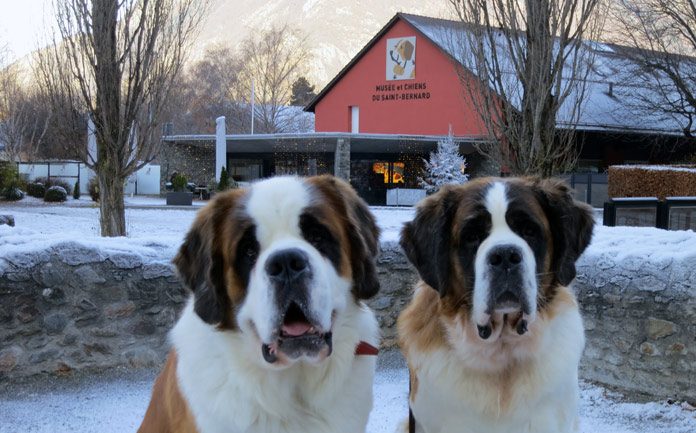 Barryland © Fermata Spettacolo