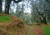 L’incanto in Vallebuia: la Perlustrazione