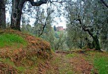 L’incanto in Vallebuia: la Perlustrazione