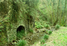 A Primavera lungo la Valle dei Mulini: Vigna Monumentale