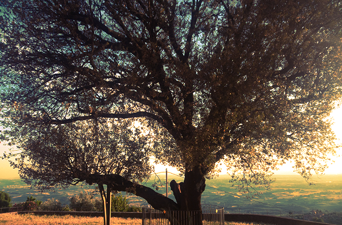 IMG_20170611_200438191