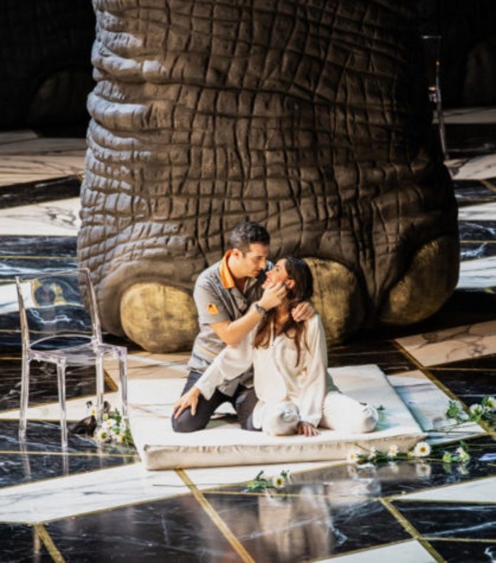 figaro susanna®-Yasuko-Kageyama-IMG_9439WEB-419x475