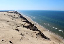 La guida insolita della Danimarca che non ti aspetti: dallo Jutland al Fyn