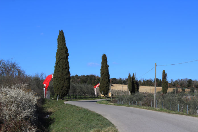 Struzzi Metropolitani © fermataspettacolo.it