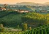 Itinerario enogastronomico nelle Langhe piemontesi