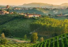Itinerario enogastronomico nelle Langhe piemontesi